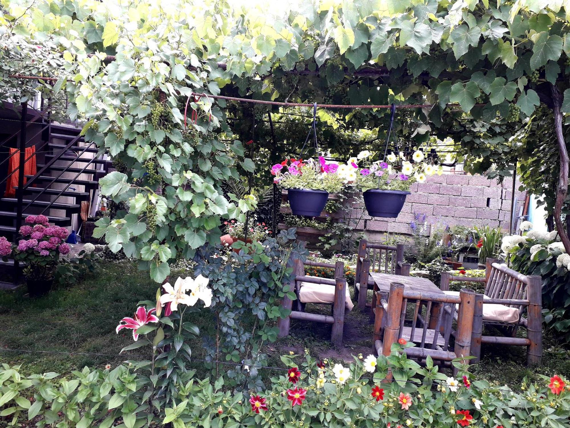 Holiday Home Borjomi Exterior foto